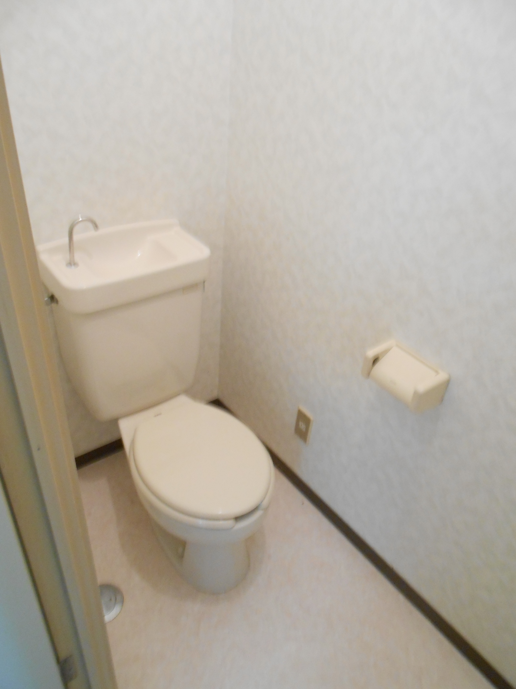 Toilet. Toilet to settle