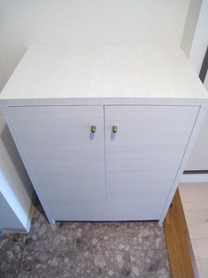 Entrance. There shoe box in the foyer