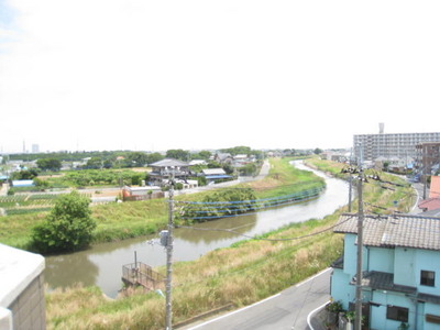 View. View from the balcony