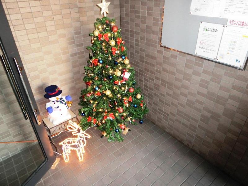 Entrance. Yes decorate this season Christmas tree.