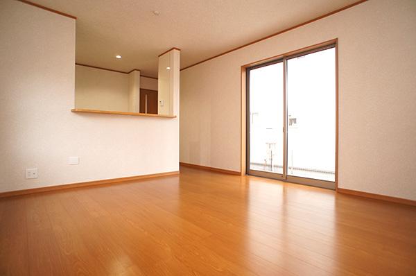 Living. Indoor (11 May 2013) Shooting