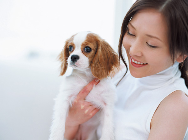 Shared facilities.  [Apartment to be able to live with pets] We could live together and is also a member of the important family pet.  ※ Pet of the type that frog in the apartment ・ There is a limit to the size, etc..  ※ For more information, please contact the person in charge.  ※ Published photograph of is an example of a pet frog.