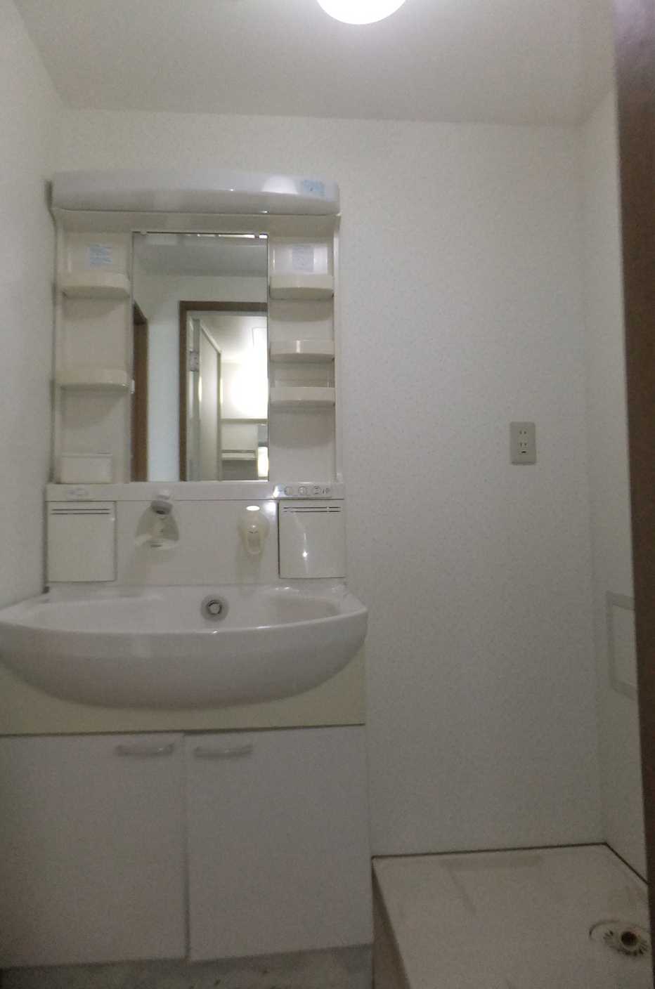 Washroom. Wash basin with a shower