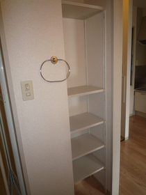 Washroom. There shelf in washroom