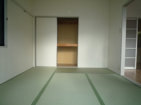 Living and room. Two-sided lighting Japanese-style room