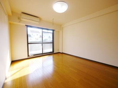 Living and room. Living balcony side