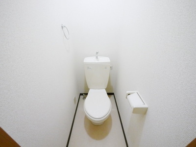 Toilet. Toilet