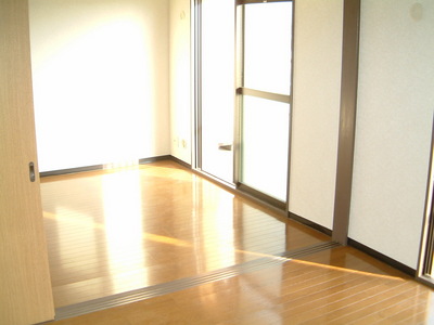 Living and room. It is a bright room with sunshine