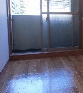 Living and room. Living