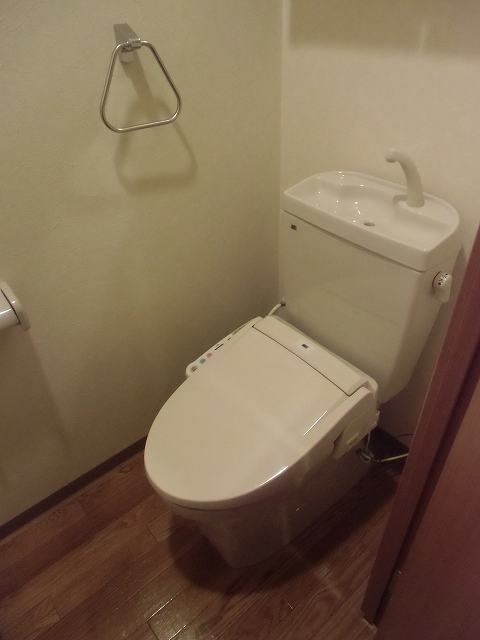 Toilet. Toilet
