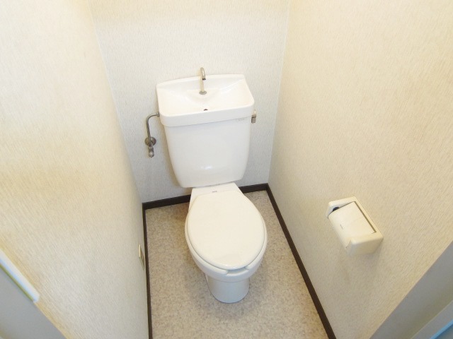 Toilet. Clear some space
