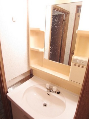 Washroom. Independent wash basin