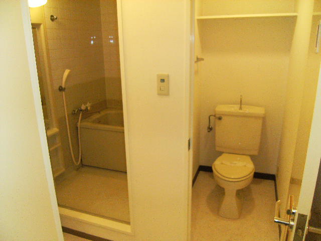 Toilet. Other 6