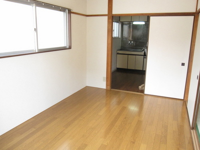 Living and room. Western-style two-sided lighting