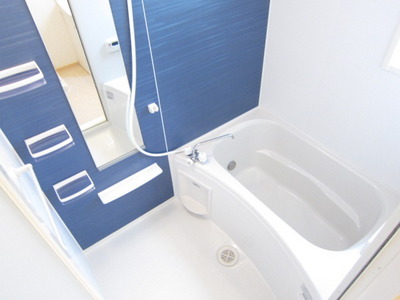 Bath. Fashionable colors in the bathroom