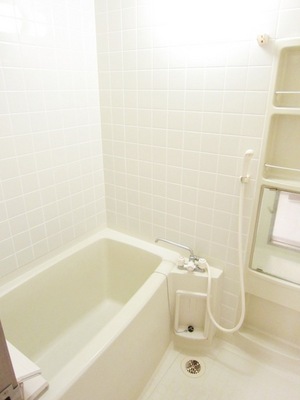 Bath. Enough bathroom breadth