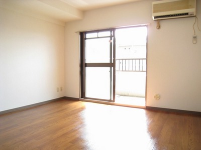 Living and room. Bright flooring tone of the room