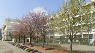 Primary school. 580m until Kawaguchi Municipal December Field Elementary School