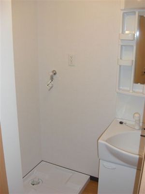 Washroom. It is the Place for washing machine and shampoo dresser.
