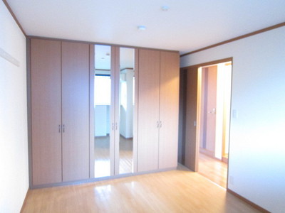 Living and room. Storage of mirror with