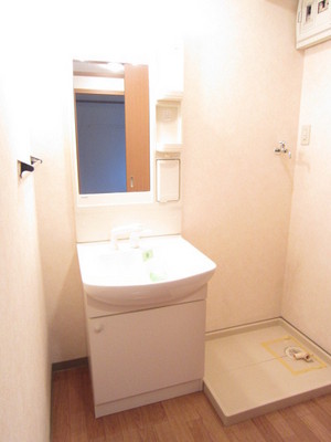 Other. Functional wash basin