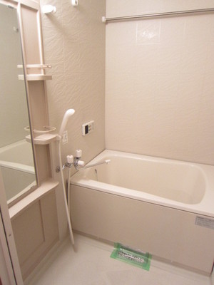 Bath. Enough bathroom breadth