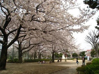 park. 883m to Totsuka Enokido park (park)