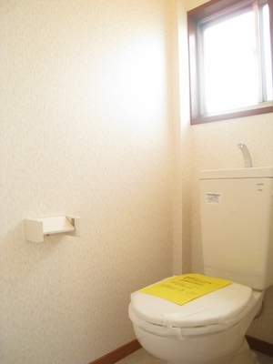 Toilet. Breathable good of the toilet in the window with