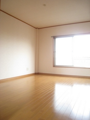 Living and room. South-facing day is good