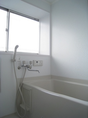 Bath. Replaced with a new one in September 2010