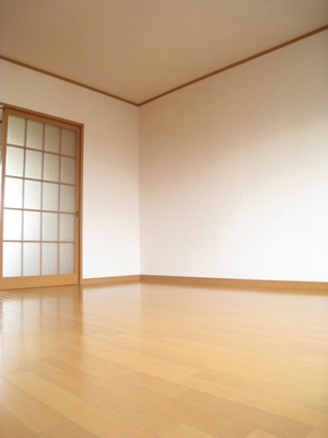 Living and room. South-facing day is good