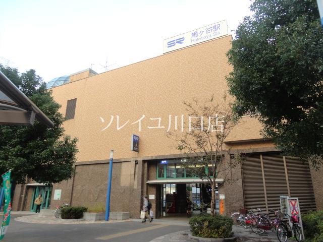 Other. Hatogaya 1089m to the station (Other)