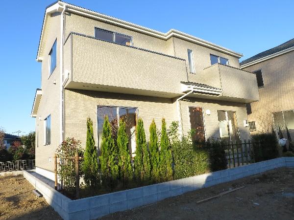 Local appearance photo. Garden of green is also shine appearance