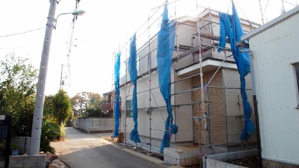 Local photos, including front road