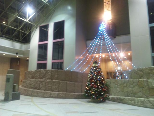 Other common areas. Common areas (atrium lobby)