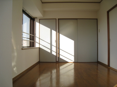 Living and room. Southwest Corner Room, Two-sided lighting of the bright rooms