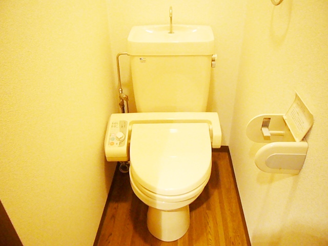 Toilet. This is a sample photo of another in Room.