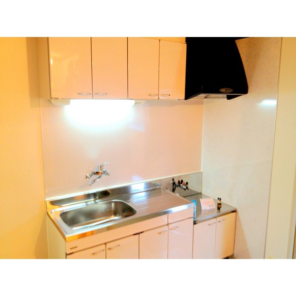 Kitchen. It is a new article.