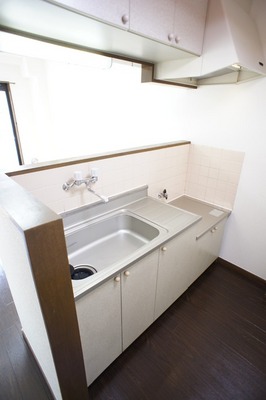 Kitchen. Popular face-to-face kitchen