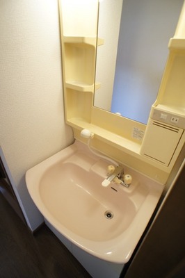 Washroom. Independent shampoo dresser