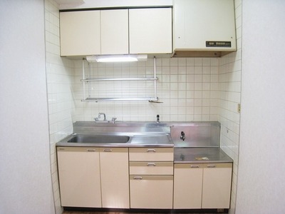 Kitchen. Of gas stove installation Allowed housed rich kitchen