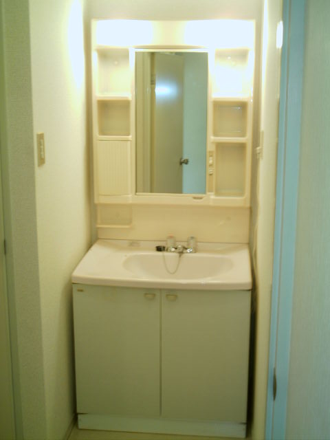 Washroom. Bathroom vanity