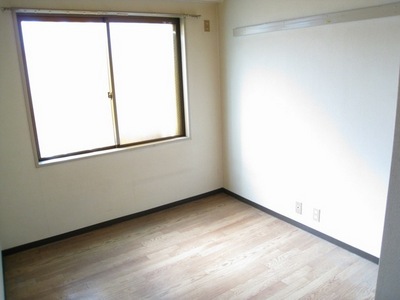 Living and room. Western style room Two-sided lighting