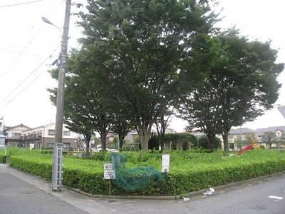 park. Until the (park) 20m