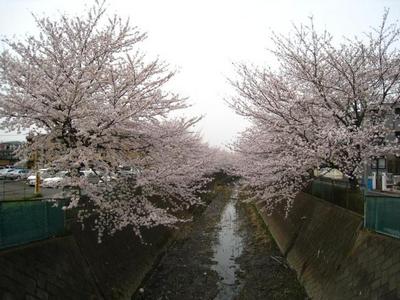 Other. 344m until Denne River (Other)