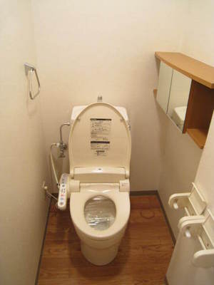 Toilet. There is storage of the mirror with