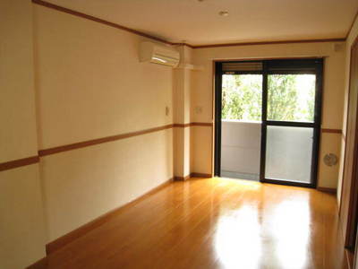 Living and room. Bright balcony facing the balcony