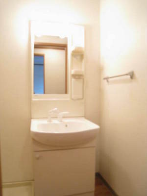 Washroom. Shampoo dresser with wash basin