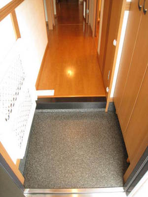 Entrance. Entrance looks like