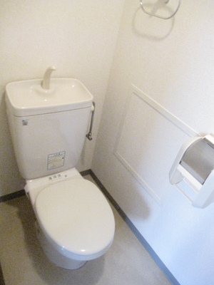 Toilet. It is a towel over glad